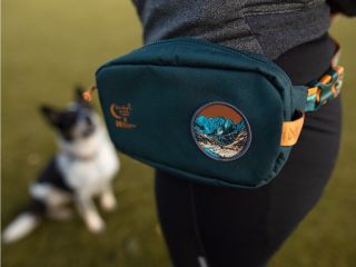 Oblíbené ledvinky Non-stop dogwear z edice od Rachel Pohl jsou zpět 🥳 Kdo ji nestihl minule, má teď šanci 💚💜 ❓Která...